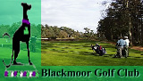 Blackmoor Golf Club, Hampshire